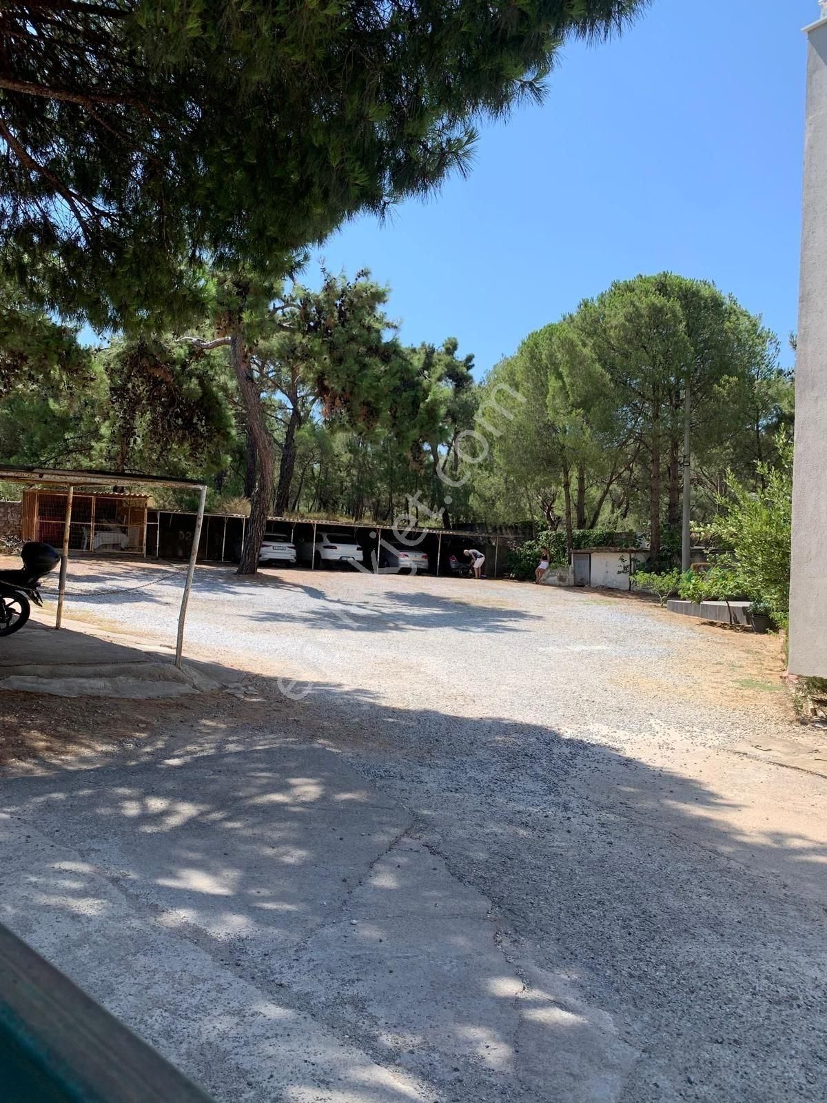 Ayvalık Sefa Çamlık ' Da Deniz Manzaralı Kiralık Daire - Görsel 8