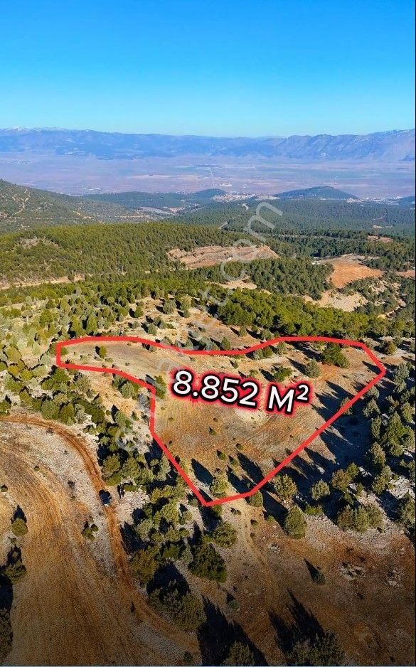 Şahin Emlaktan Denizli Acıpayam Mevlütler Mah Satılık 8.852 M² Tarla - Görsel 4