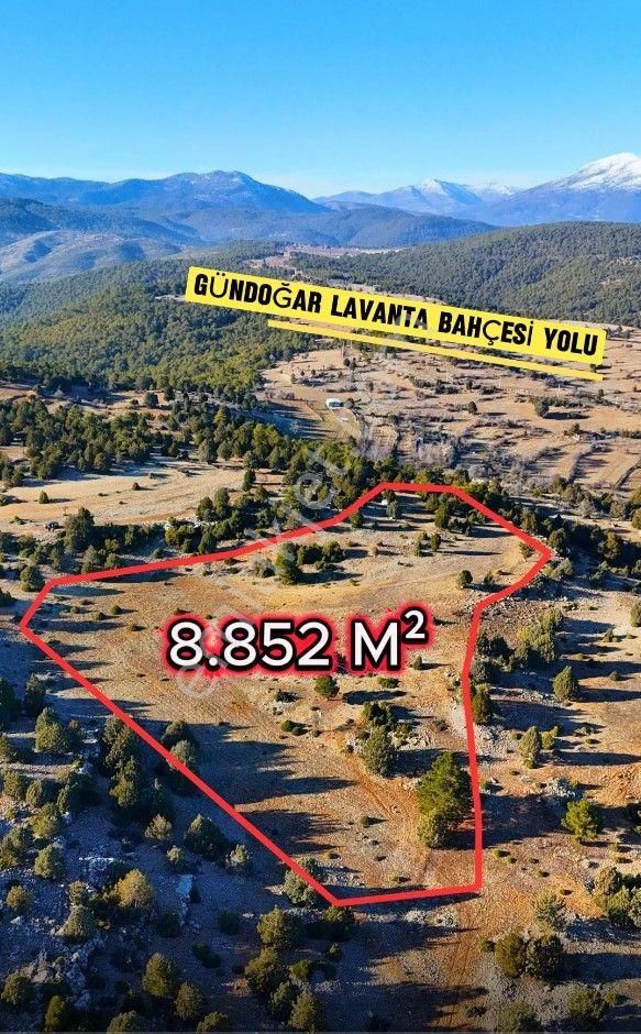 Şahin Emlaktan Denizli Acıpayam Mevlütler Mah Satılık 8.852 M² Tarla
