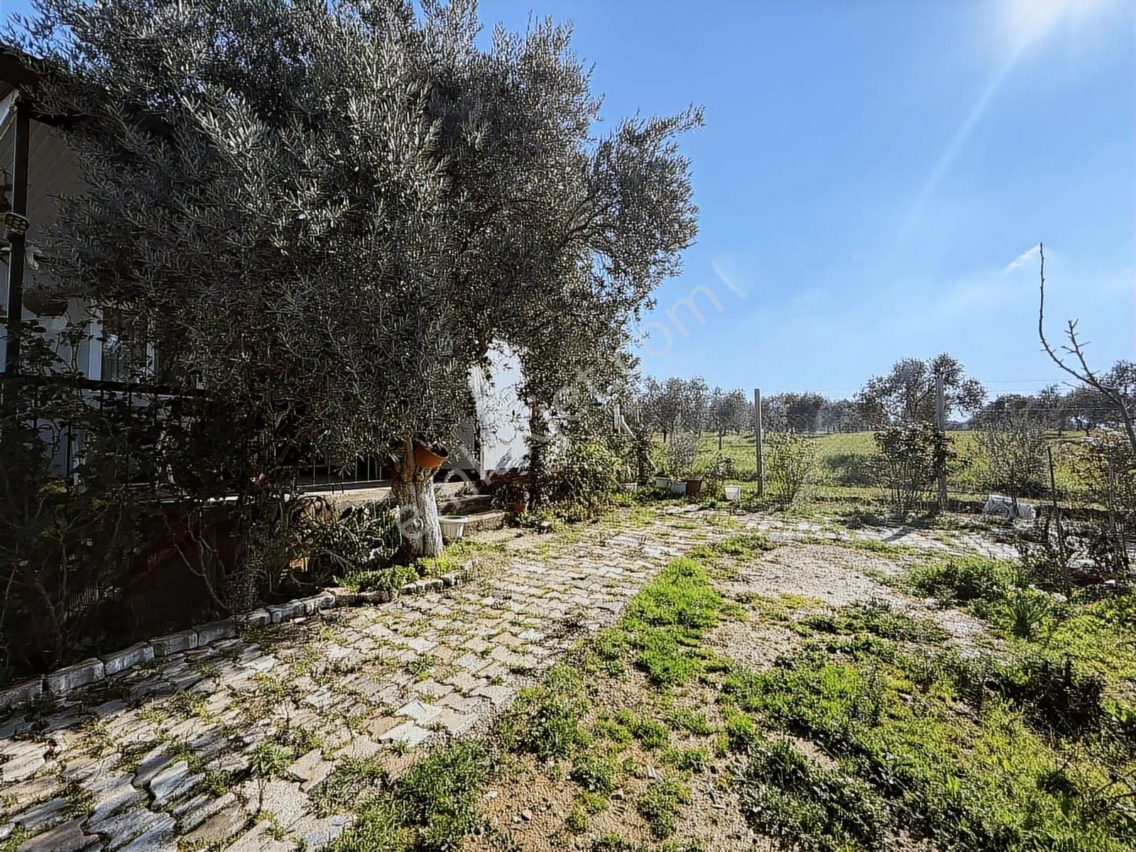 Novas'tan Torbalı Dirmil'de Satılık İçinde Ev Olan Bahçe - Görsel 13