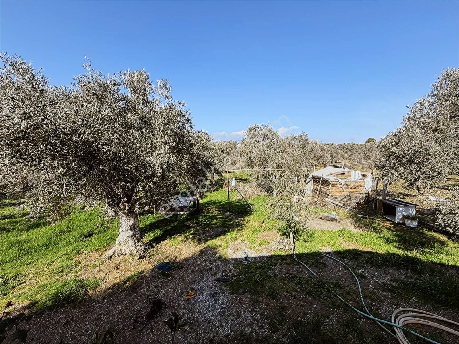 Novas'tan Torbalı Dirmil'de Satılık İçinde Ev Olan Bahçe - Görsel 29