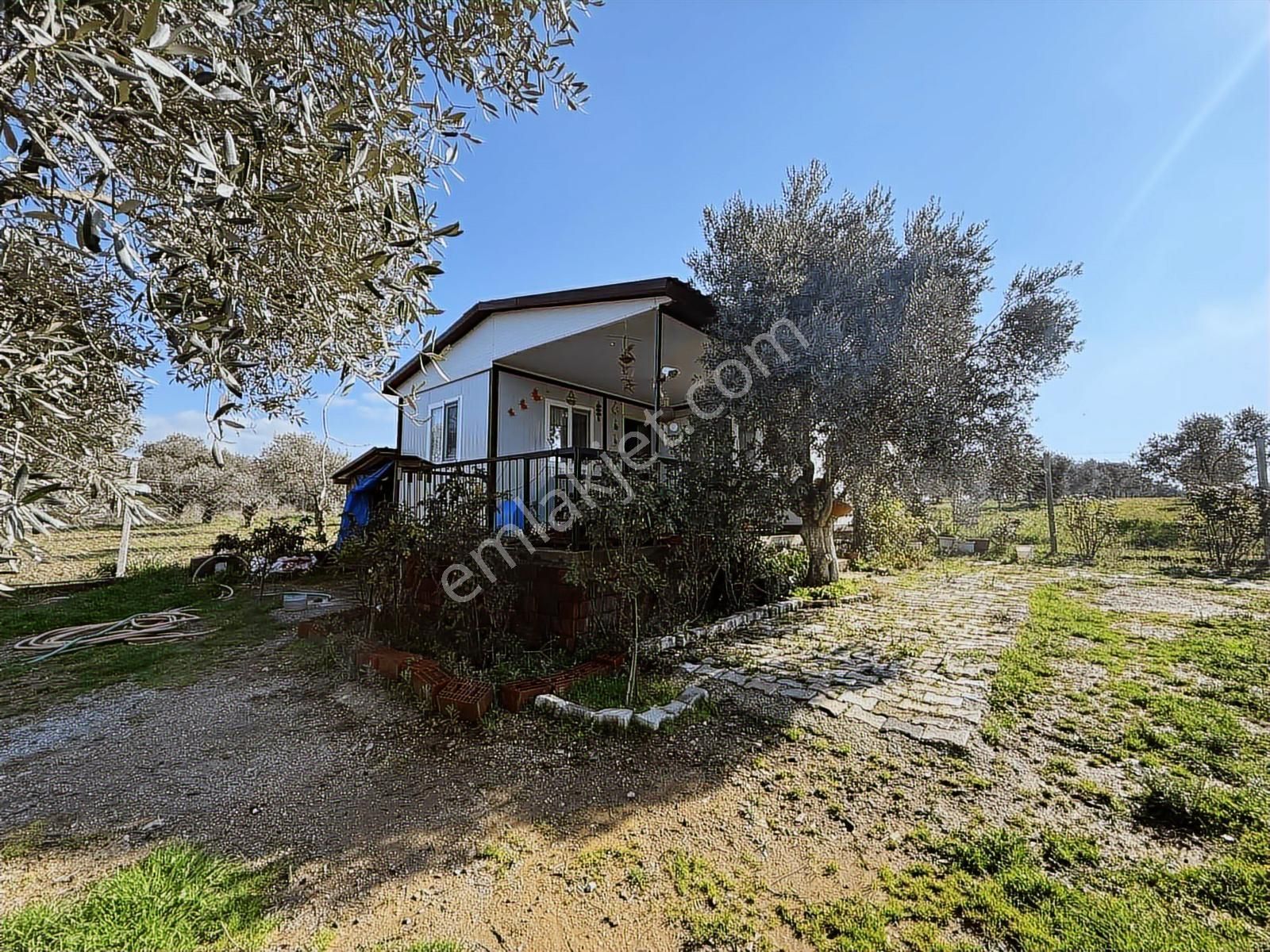 Novas'tan Torbalı Dirmil'de Satılık İçinde Ev Olan Bahçe - Görsel 33