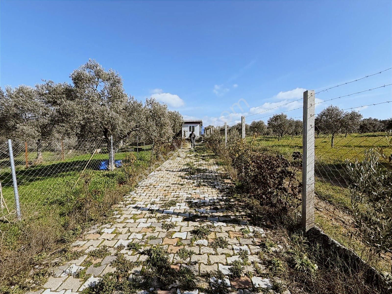 Novas'tan Torbalı Dirmil'de Satılık İçinde Ev Olan Bahçe - Görsel 22