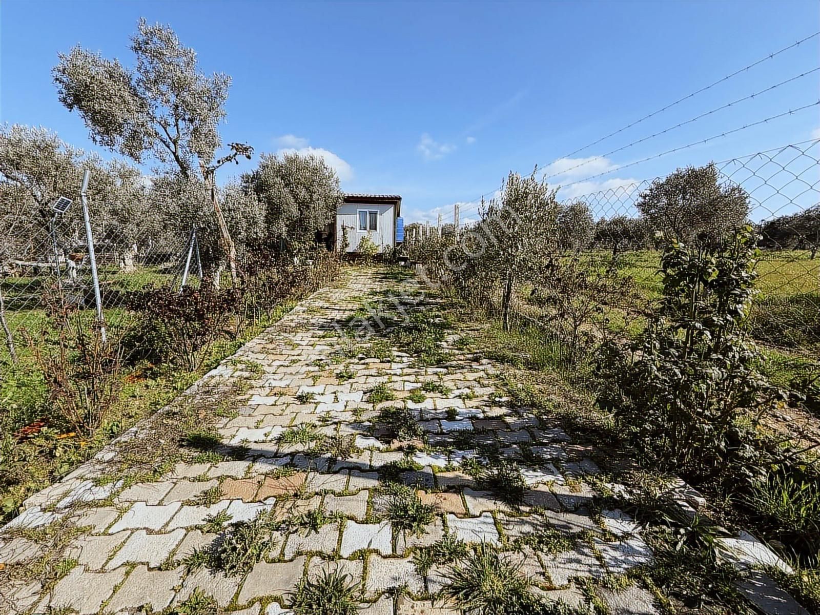 Novas'tan Torbalı Dirmil'de Satılık İçinde Ev Olan Bahçe - Görsel 20