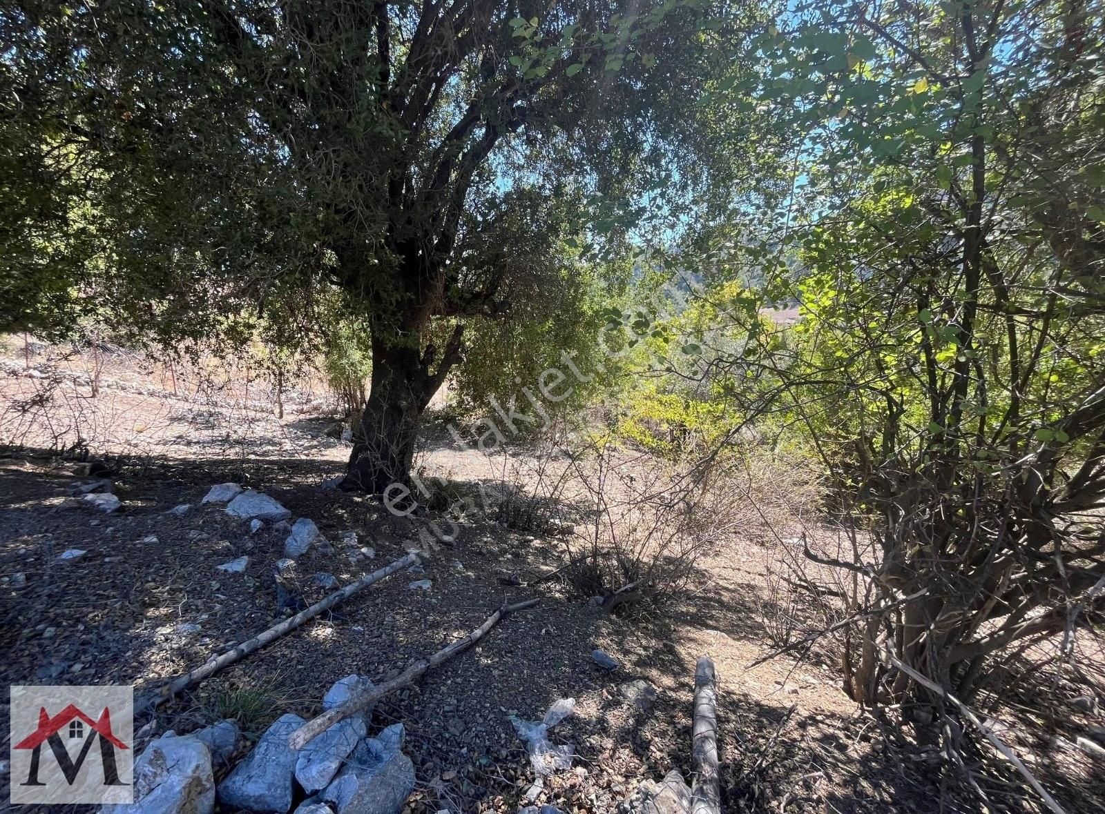 Bucak Kızılsekide İçerisinde 2 Adet Ev Bulunan 4413m2 Tarla - Görsel 18