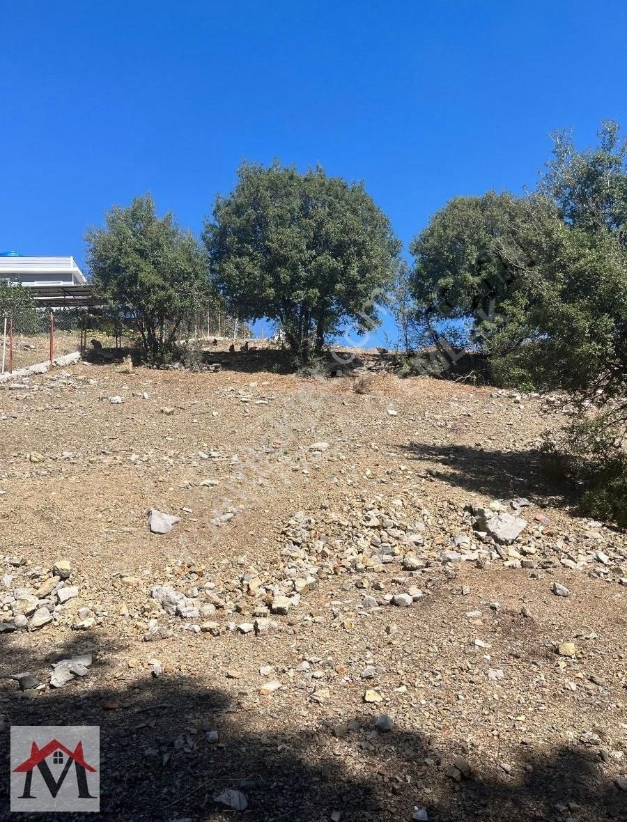 Bucak Kızılsekide İçerisinde 2 Adet Ev Bulunan 4413m2 Tarla - Görsel 28