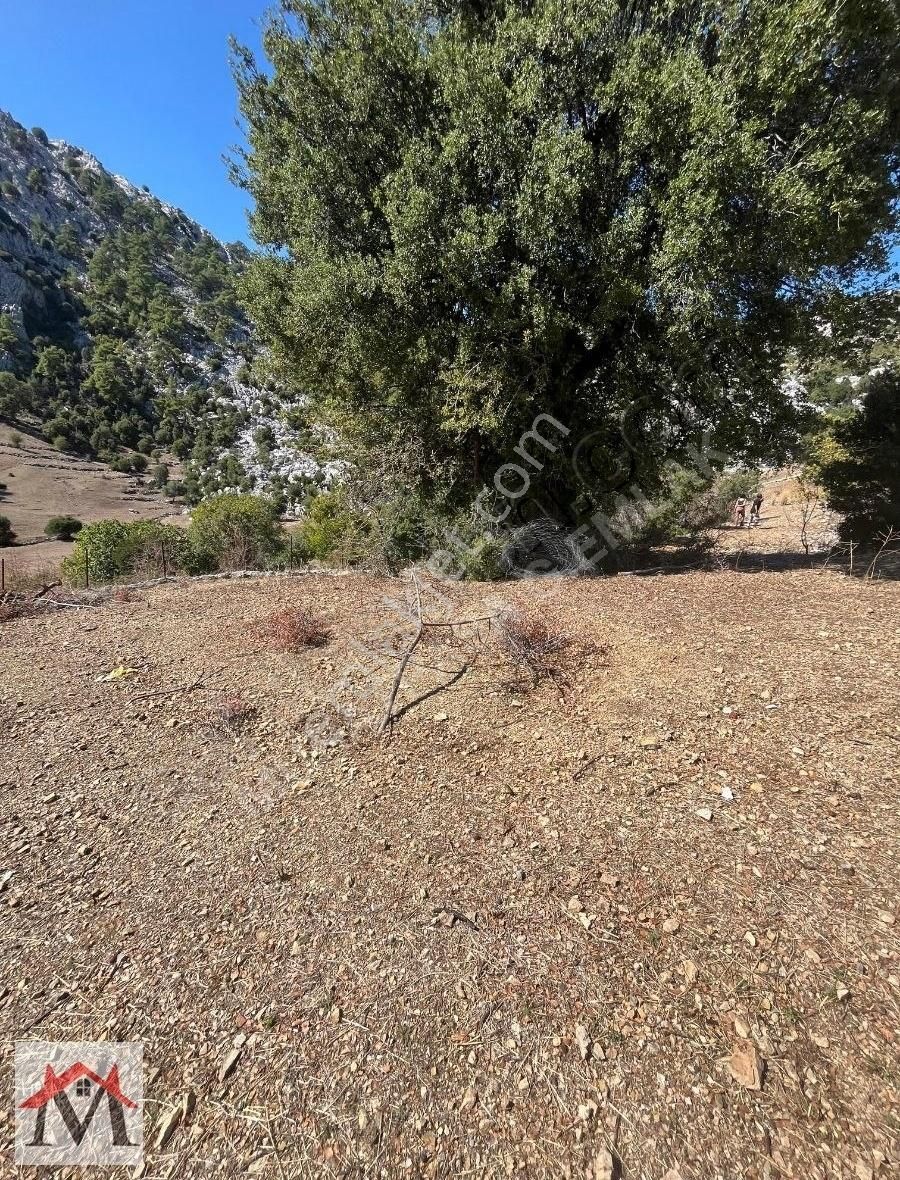 Bucak Kızılsekide İçerisinde 2 Adet Ev Bulunan 4413m2 Tarla - Görsel 13