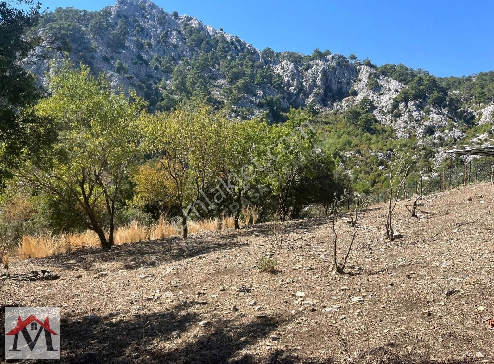 Bucak Kızılsekide İçerisinde 2 Adet Ev Bulunan 4413m2 Tarla - Görsel 7