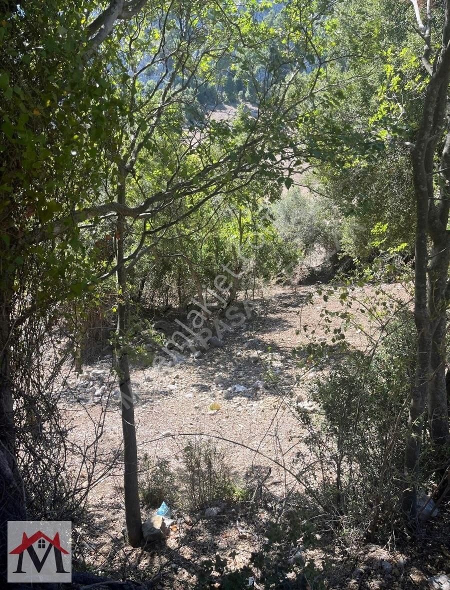 Bucak Kızılsekide İçerisinde 2 Adet Ev Bulunan 4413m2 Tarla - Görsel 15