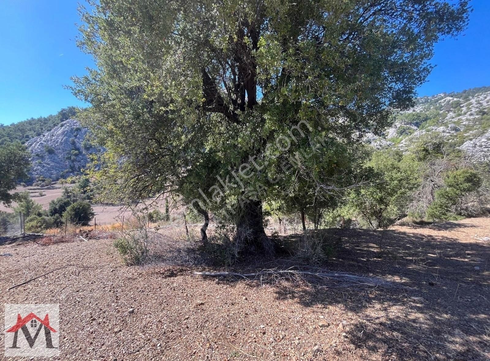 Bucak Kızılsekide İçerisinde 2 Adet Ev Bulunan 4413m2 Tarla - Görsel 19