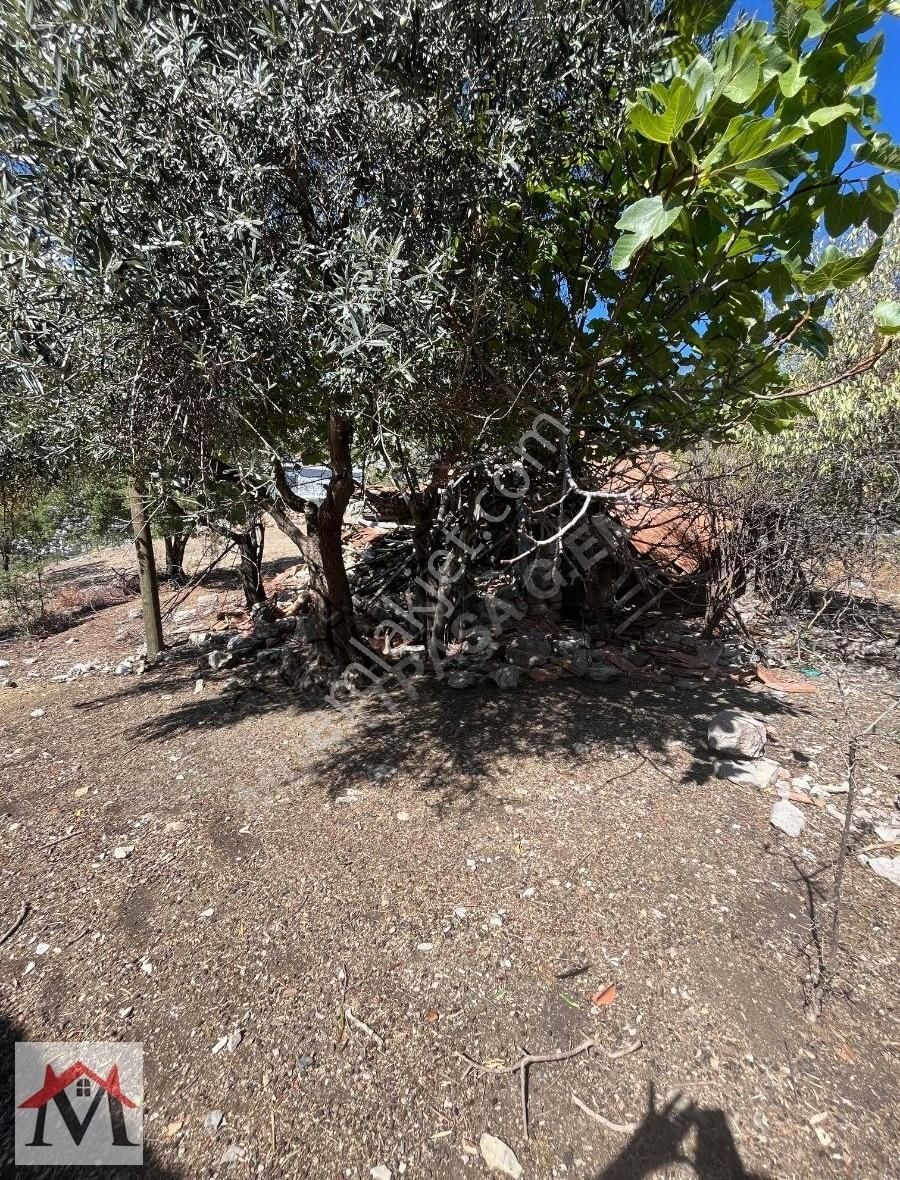 Bucak Kızılsekide İçerisinde 2 Adet Ev Bulunan 4413m2 Tarla - Görsel 22