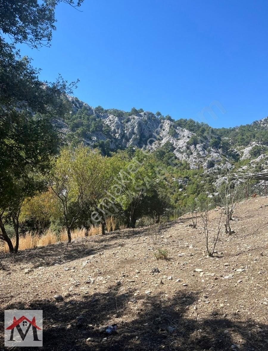 Bucak Kızılsekide İçerisinde 2 Adet Ev Bulunan 4413m2 Tarla - Görsel 12