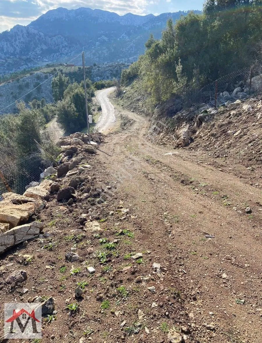 Bucak Kızılsekide Elektrik Ve Su Çekili Konteynırlı Arazi - Görsel 2