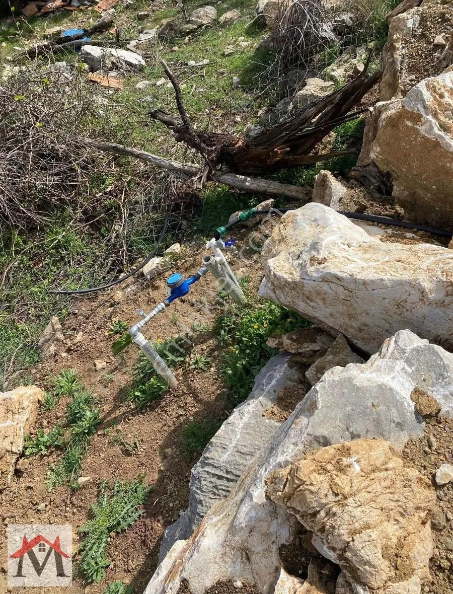 Bucak Kızılsekide Elektrik Ve Su Çekili Konteynırlı Arazi - Görsel 7