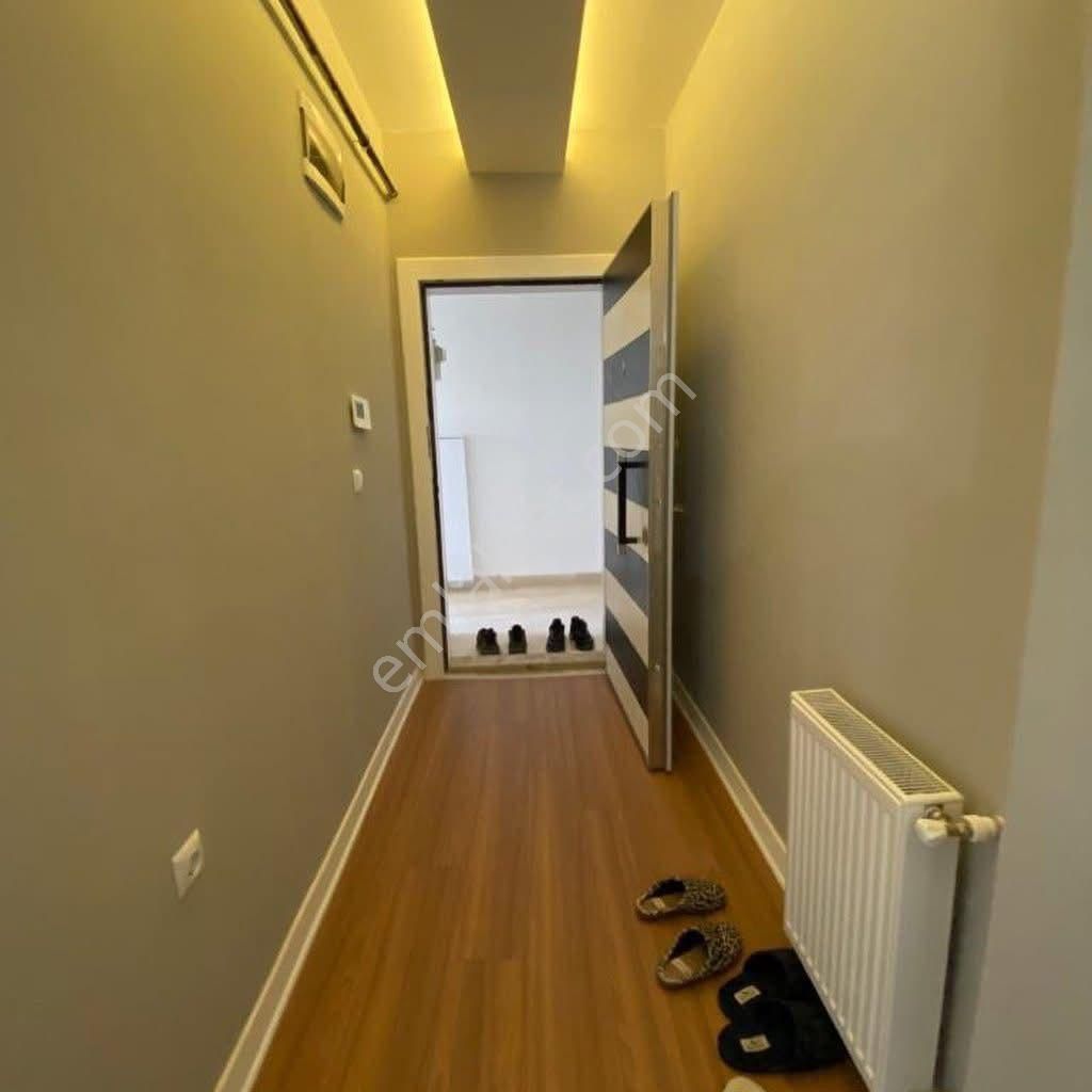 Bedavadan Biraz Pahalı !!! - Görsel 5