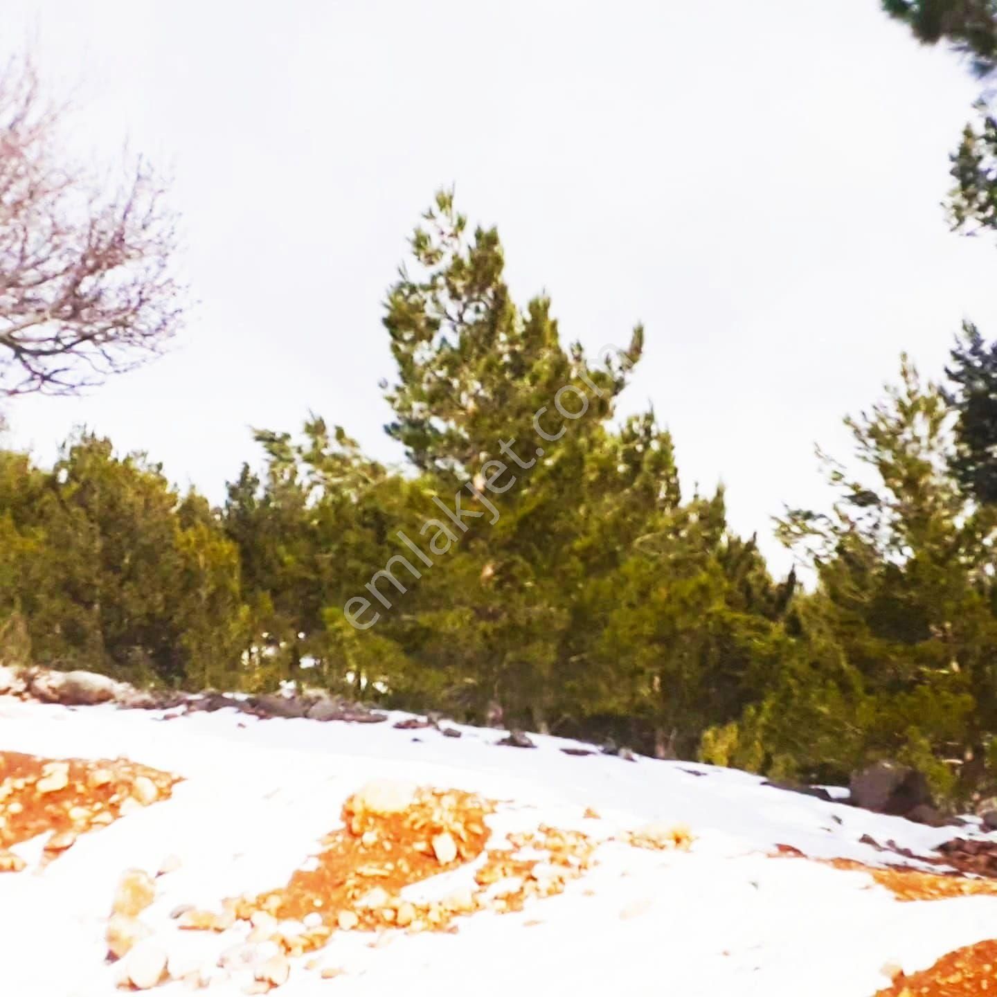 Kar Emlaktan Yenikonacık Efes Sitesi Yanı - Görsel 5