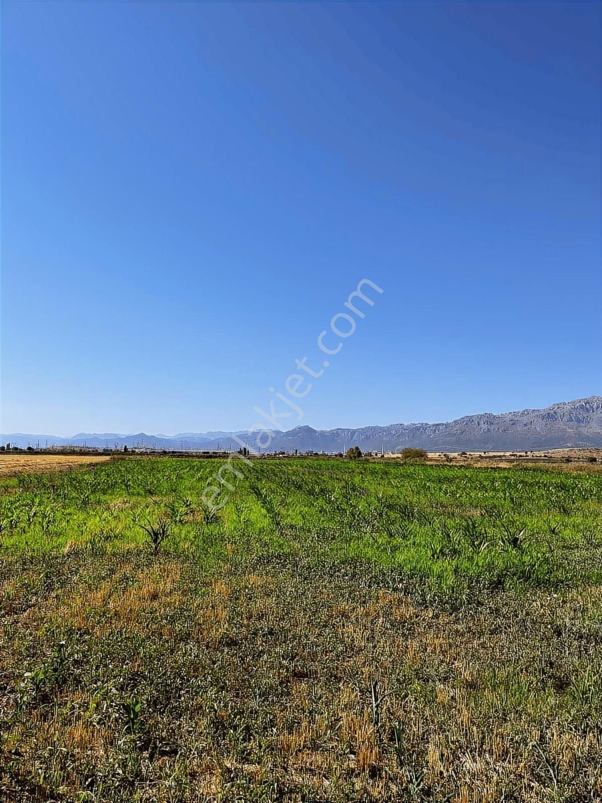 Köşe Başı Tarla - Görsel 8