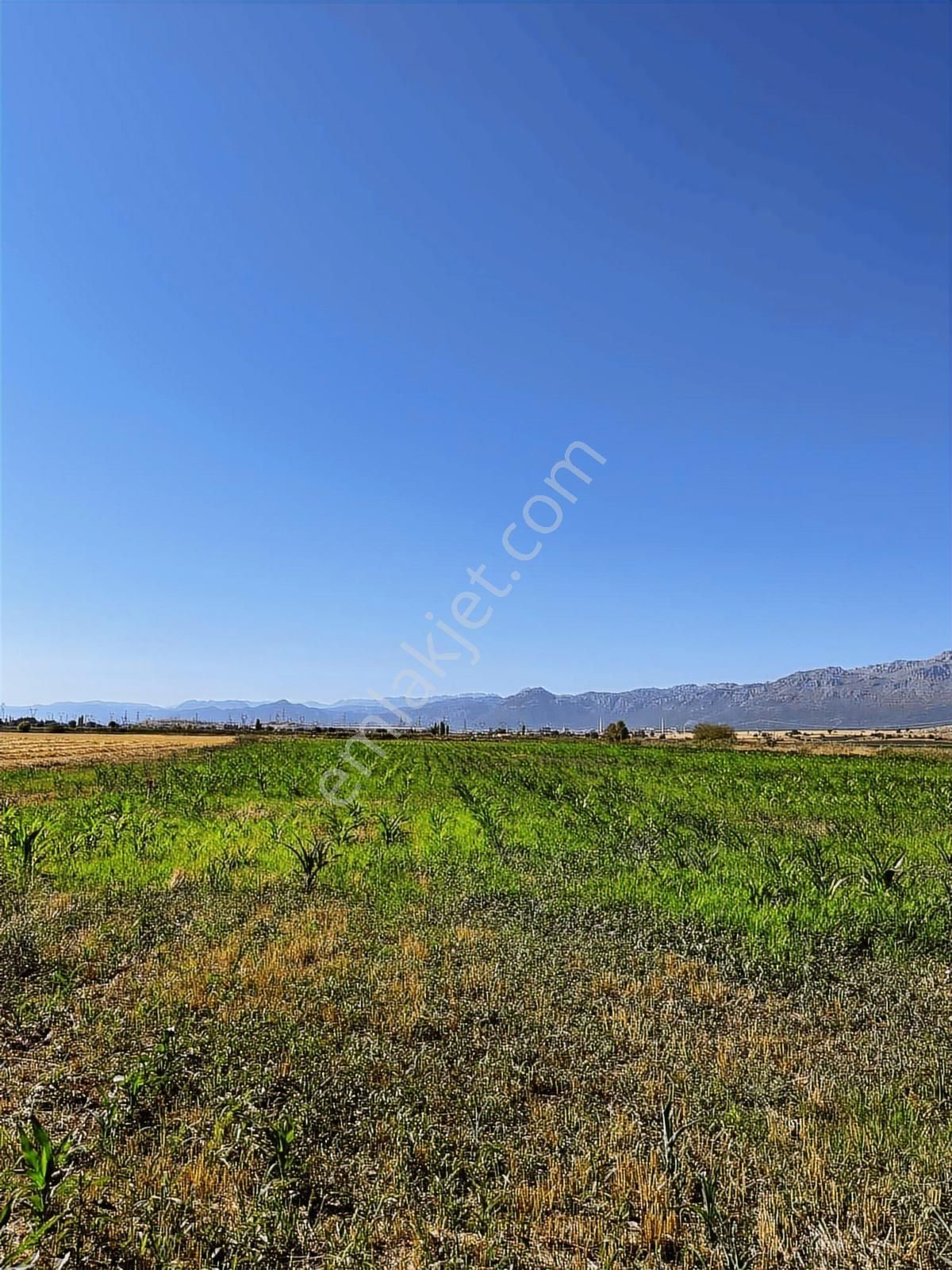 Köşe Başı Tarla - Görsel 3