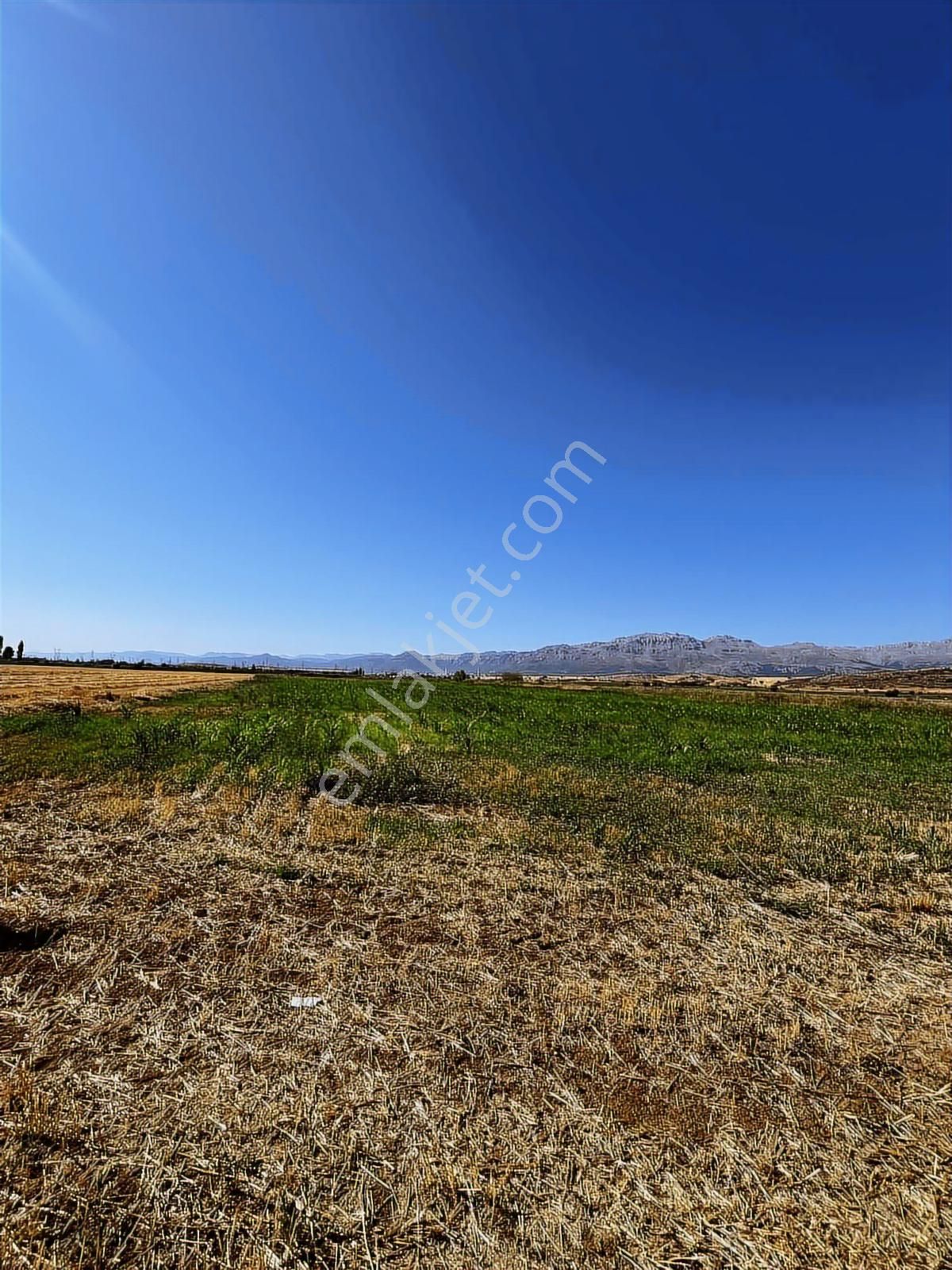 Köşe Başı Tarla - Görsel 5