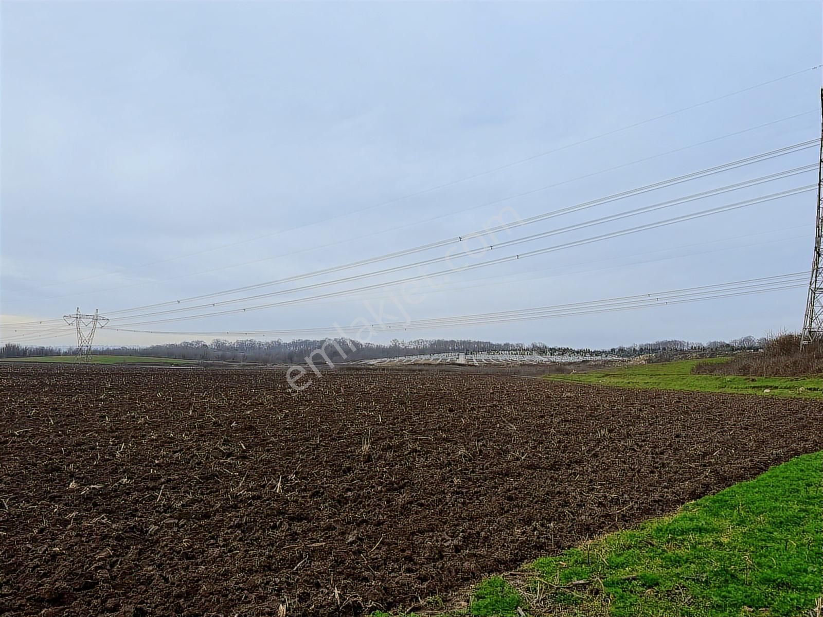Adpazarı Tekelerde 2667m2 Resmi Yollu Kaçırılmayacak Fırsat - Görsel 16