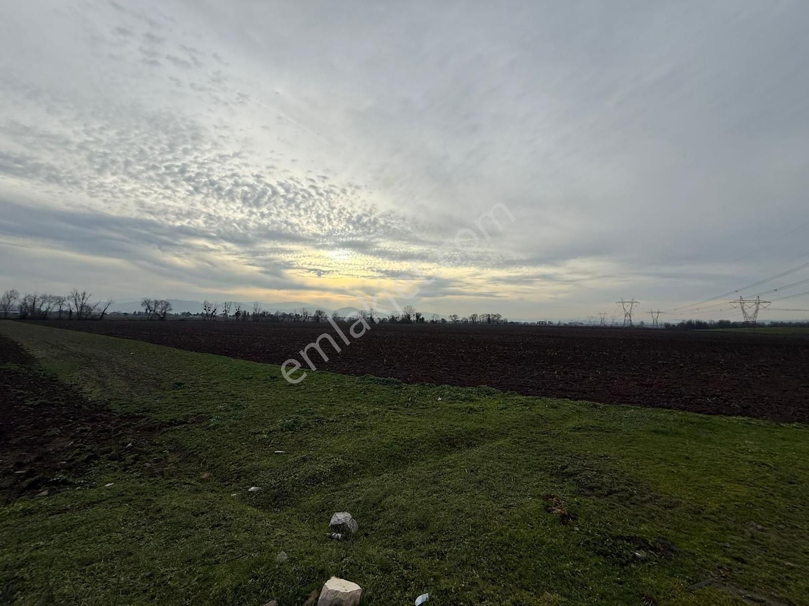 Adpazarı Tekelerde 2667m2 Resmi Yollu Kaçırılmayacak Fırsat - Görsel 4