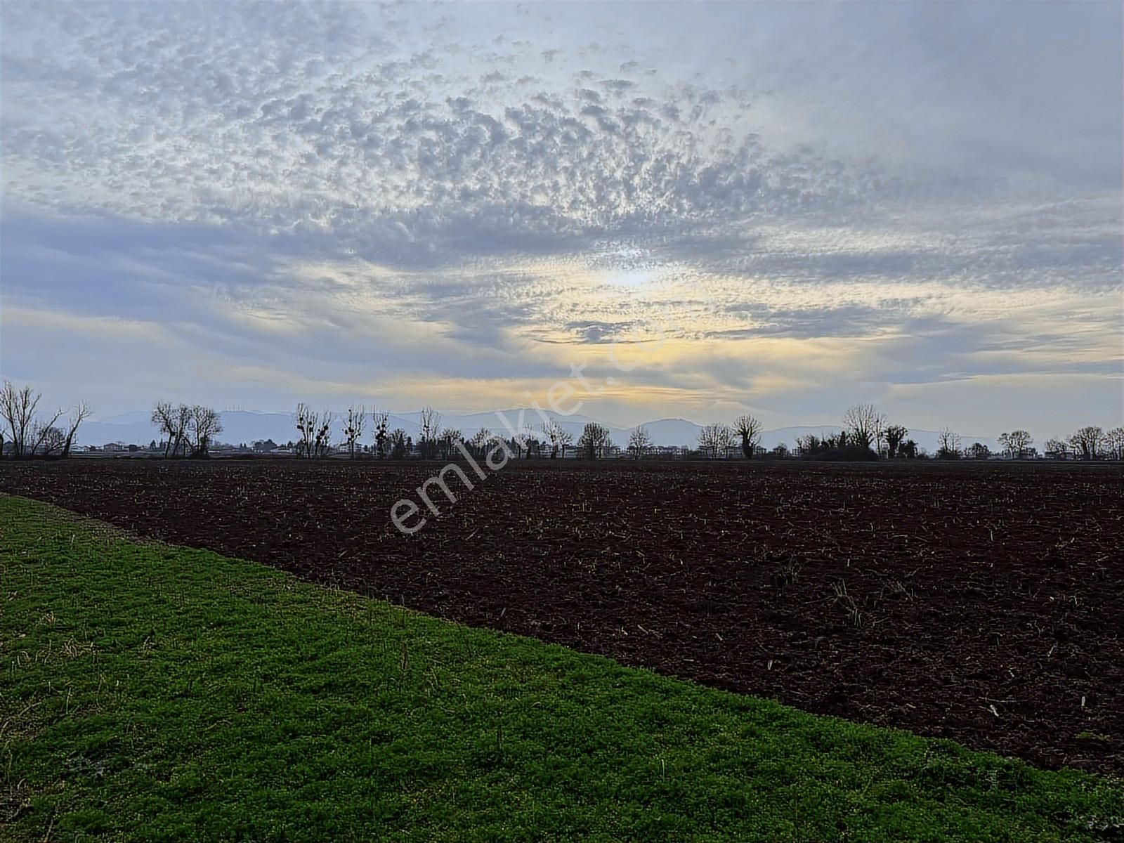 Adpazarı Tekelerde 2667m2 Resmi Yollu Kaçırılmayacak Fırsat - Görsel 15