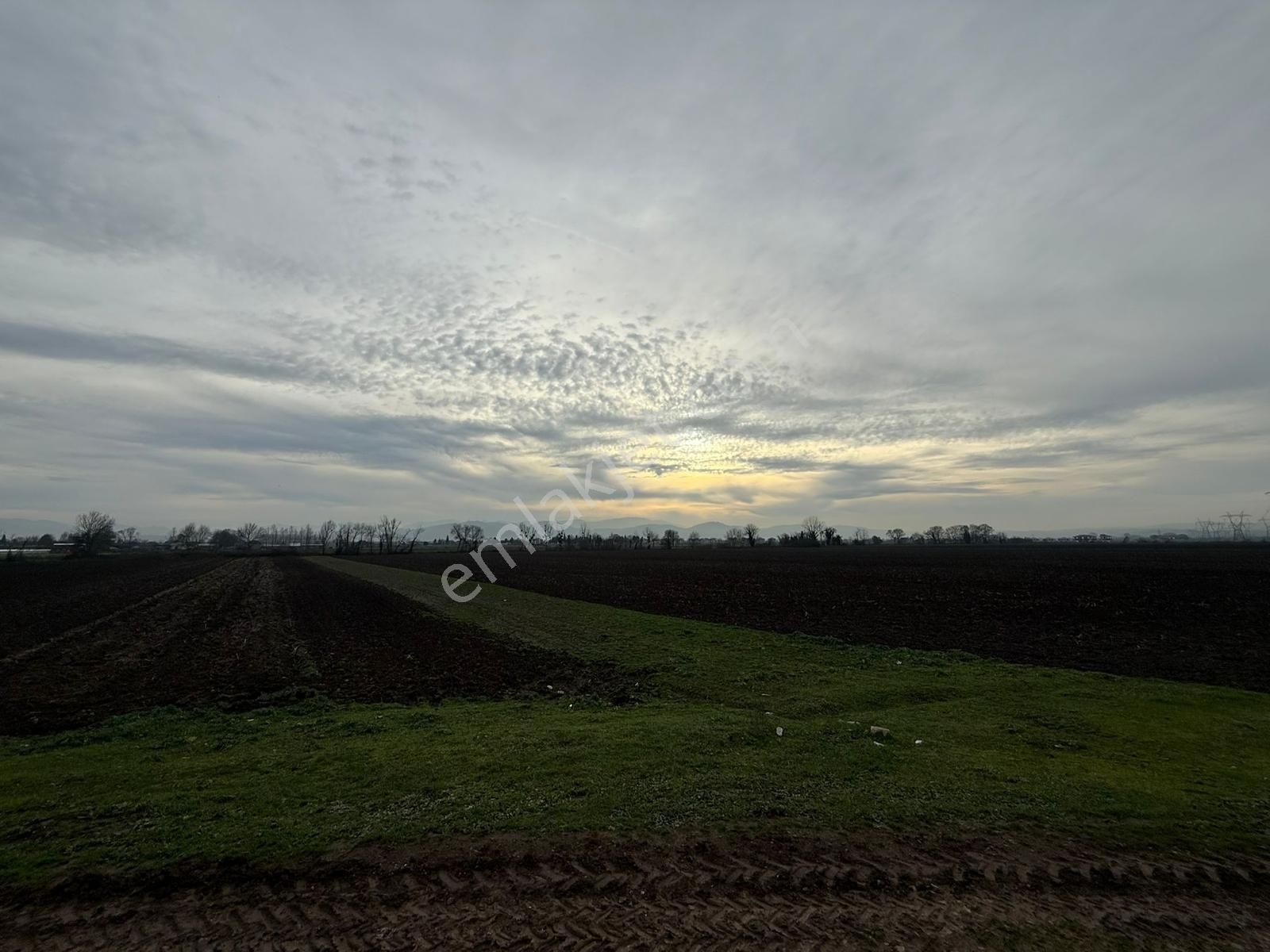 Adpazarı Tekelerde 2667m2 Resmi Yollu Kaçırılmayacak Fırsat - Görsel 6