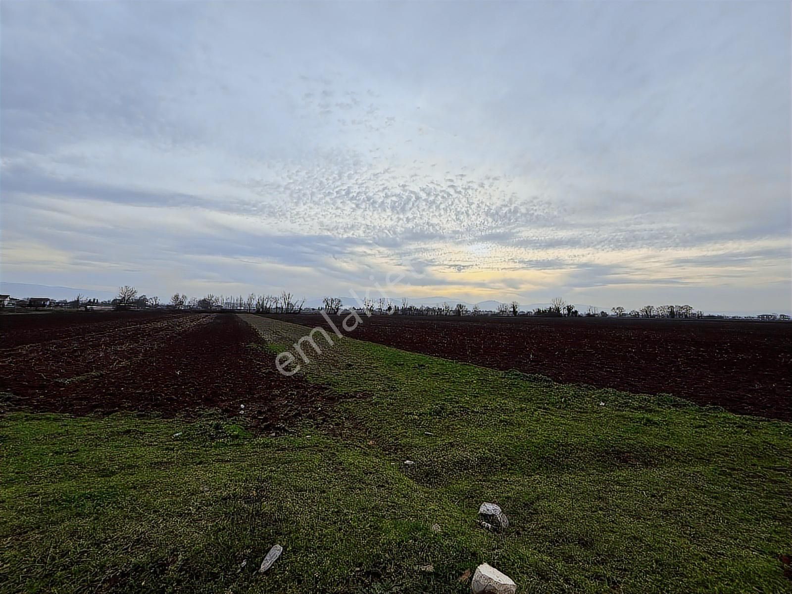 Adpazarı Tekelerde 2667m2 Resmi Yollu Kaçırılmayacak Fırsat - Görsel 14