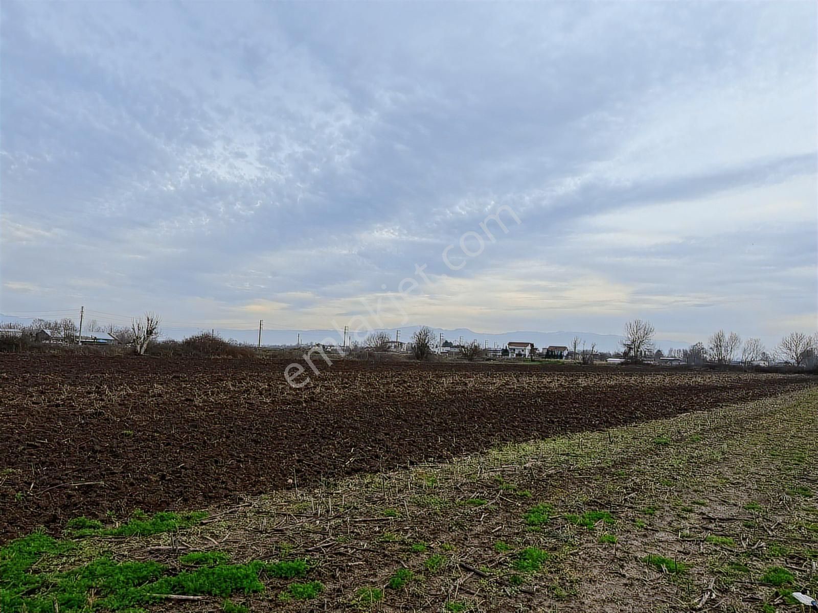 Adpazarı Tekelerde 2667m2 Resmi Yollu Kaçırılmayacak Fırsat - Görsel 7