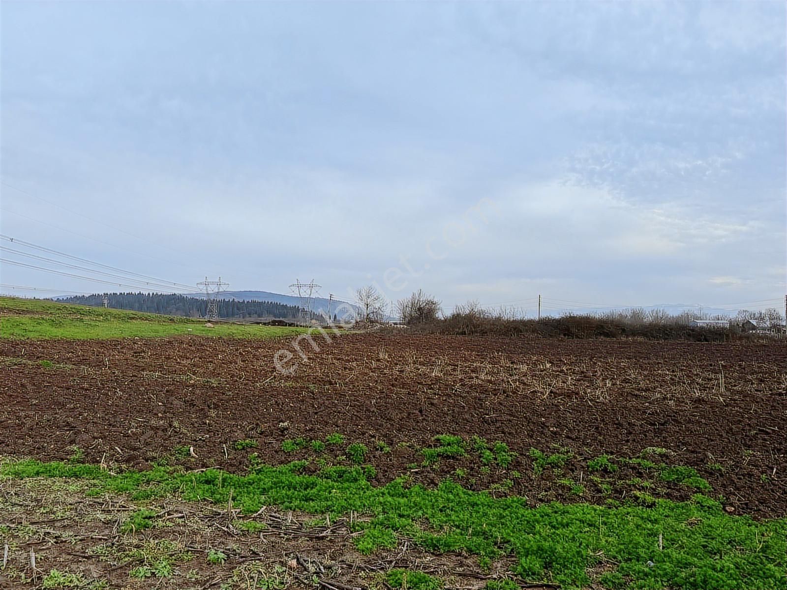 Adpazarı Tekelerde 2667m2 Resmi Yollu Kaçırılmayacak Fırsat - Görsel 26