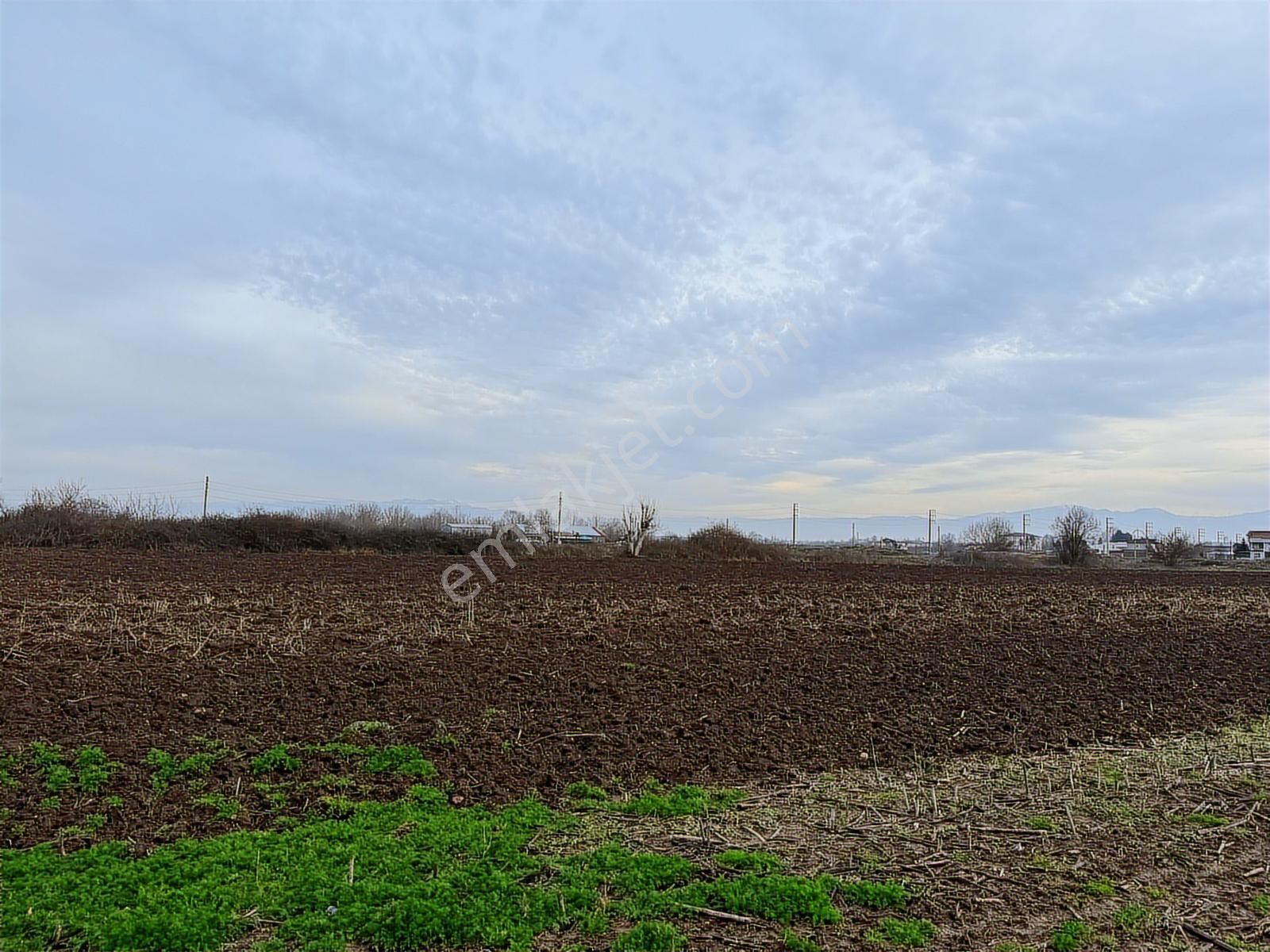 Adpazarı Tekelerde 2667m2 Resmi Yollu Kaçırılmayacak Fırsat - Görsel 8