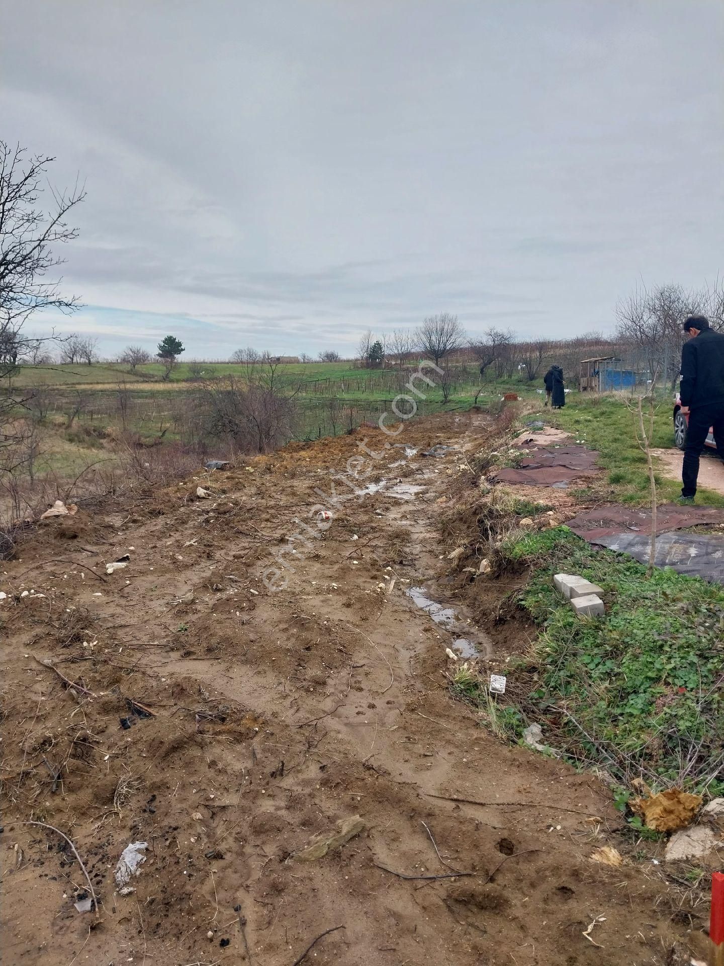 Kestel Orhaniye Cemiyet Bölgesinde Satılık Tarla - Görsel 4
