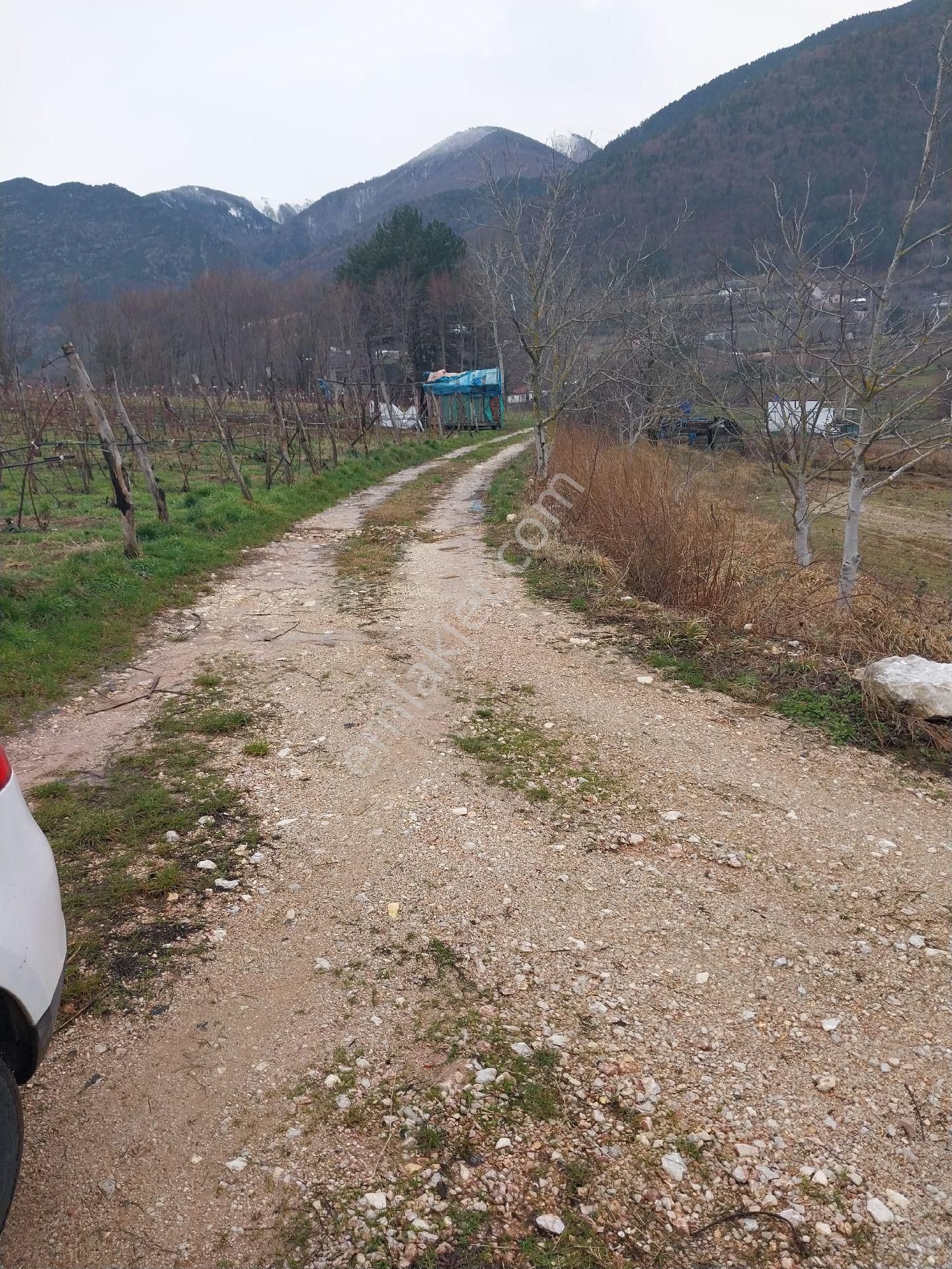 Kestel Orhaniye Cemiyet Bölgesinde Satılık Tarla - Görsel 3