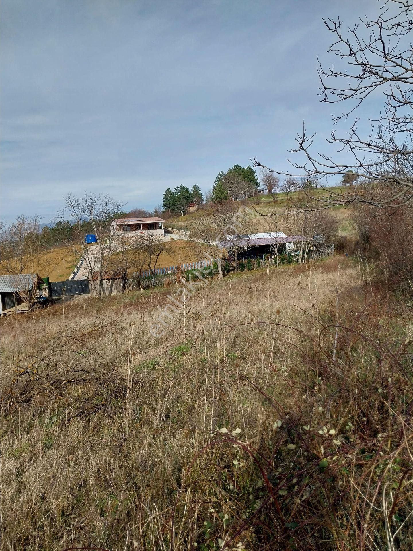 Kestel Orhaniye Cemiyet Bölgesinde Satılık Tarla - Görsel 6