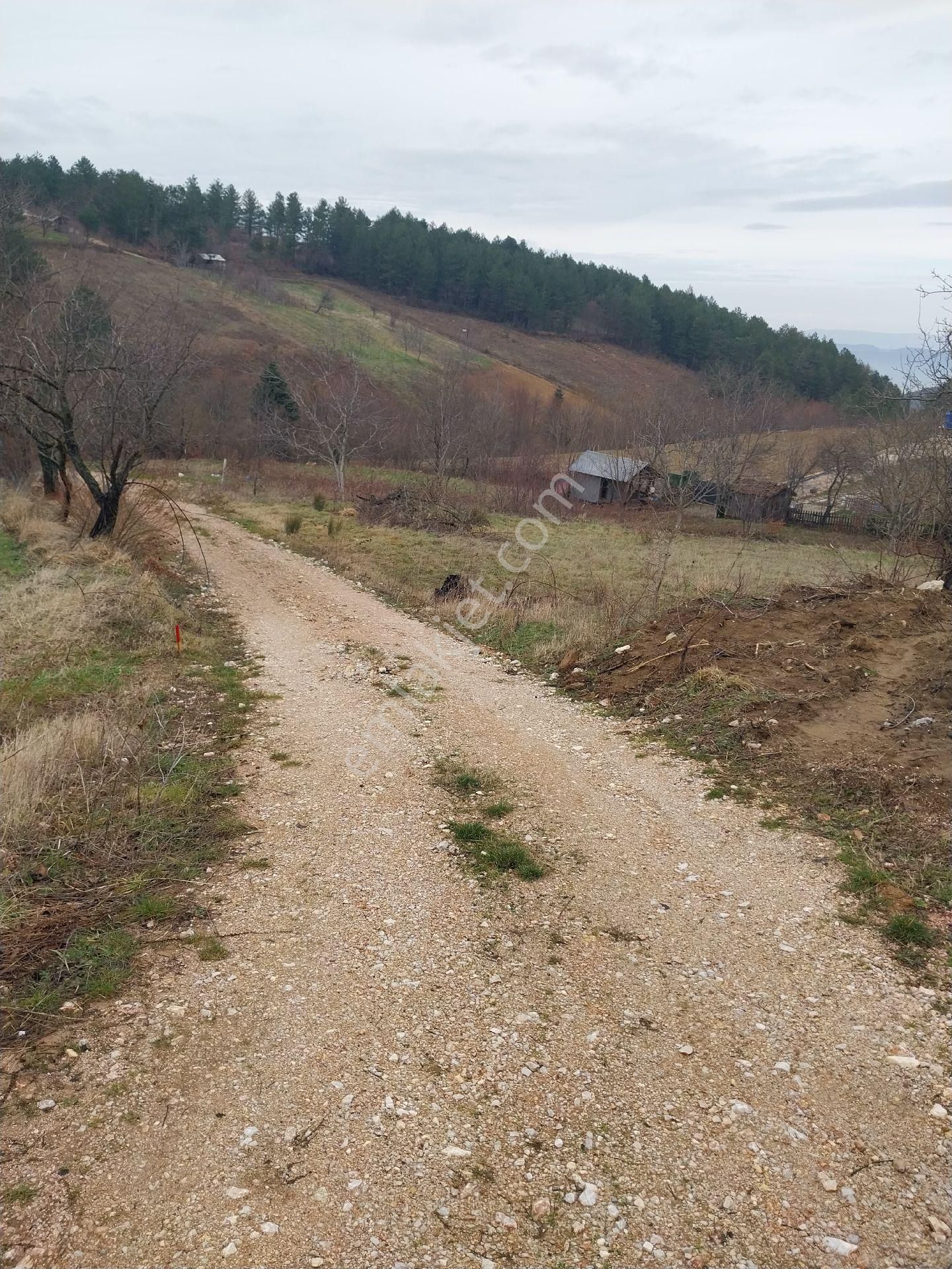 Kestel Orhaniye Cemiyet Bölgesinde Satılık Tarla - Görsel 2