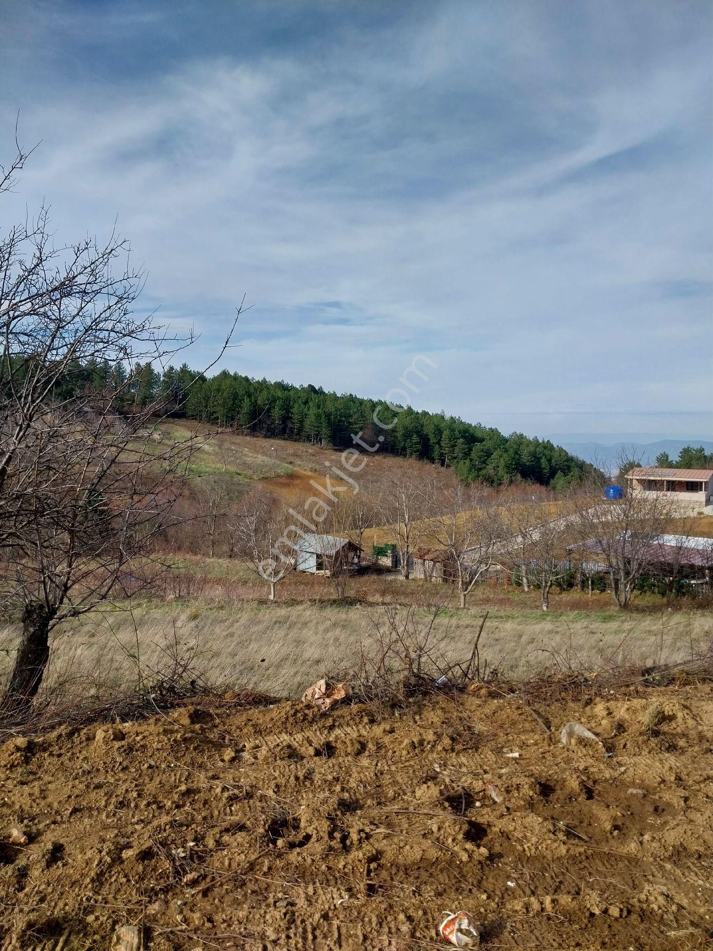 Kestel Orhaniye Cemiyet Bölgesinde Satılık Tarla - Görsel 5