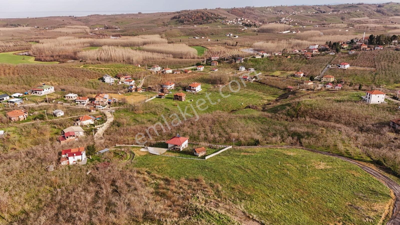Sakarya Kocaali Doğa Manzaralı Müstakil 2438 M2 İmarlı Arsa - Görsel 4