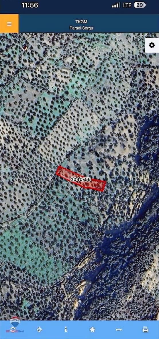 136 Aliağa Yeni Şakranda Yatırımlık Zeytinlik