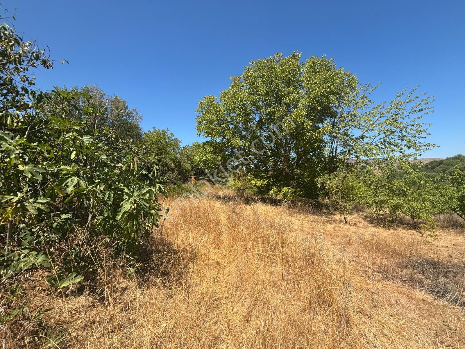Ziyaretli'de Sulu Tarıma Uygun Tarla - Görsel 9
