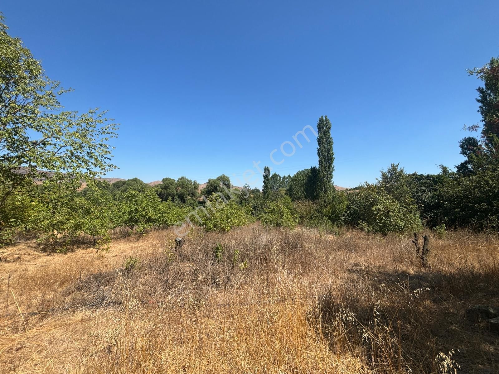 Ziyaretli'de Sulu Tarıma Uygun Tarla - Görsel 2