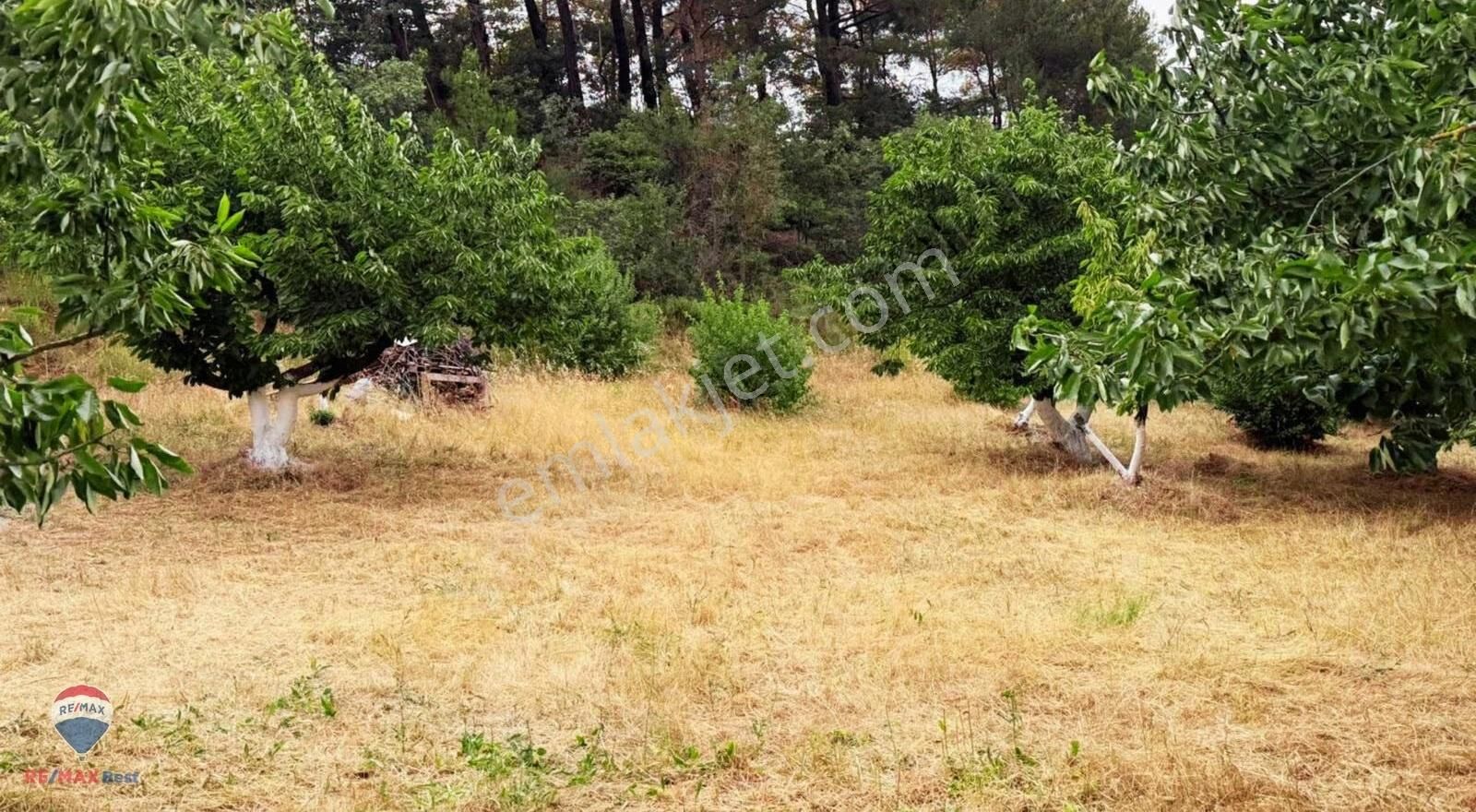 23 Ayrancılara Yakın Satılık 2097 M² Taş Evlı Bhaçe - Görsel 14