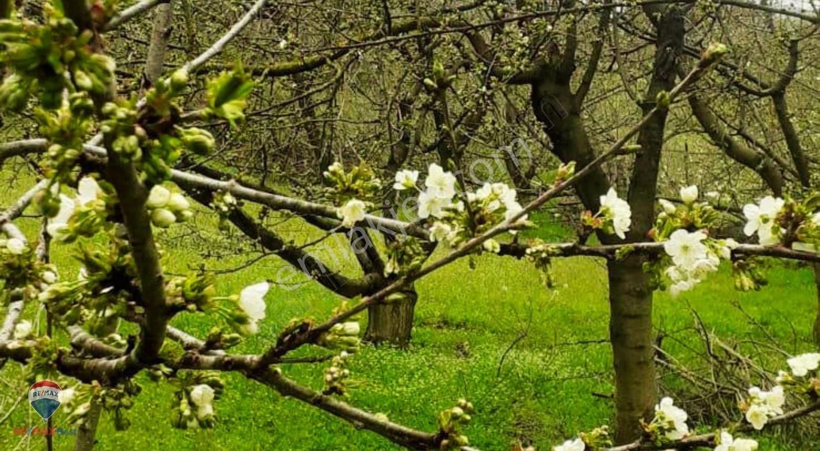 23 Ayrancılara Yakın Satılık 2097 M² Taş Evlı Bhaçe - Görsel 20