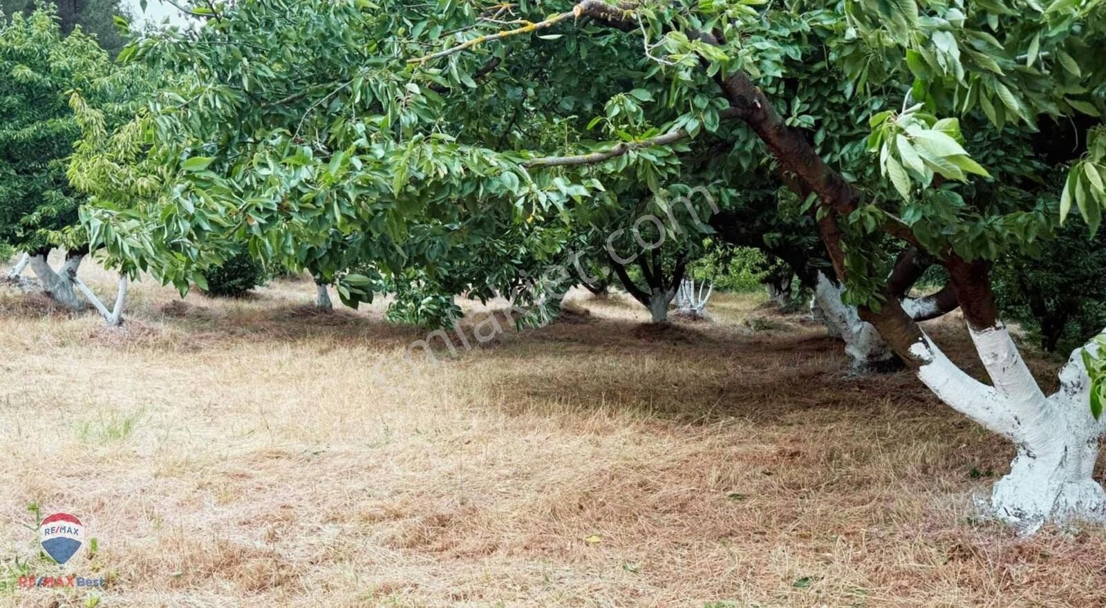 23 Ayrancılara Yakın Satılık 2097 M² Taş Evlı Bhaçe - Görsel 4