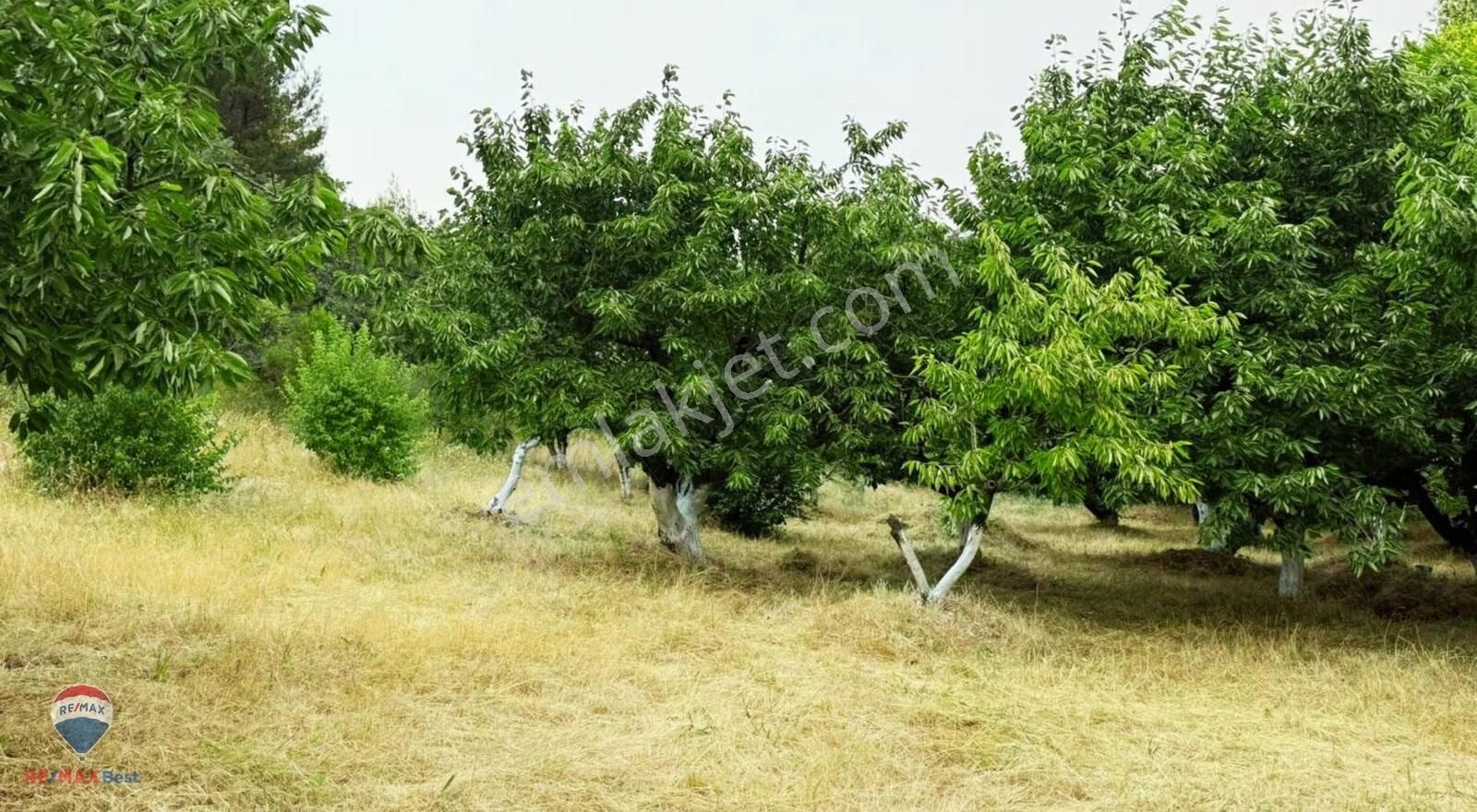 23 Ayrancılara Yakın Satılık 2097 M² Taş Evlı Bhaçe - Görsel 13