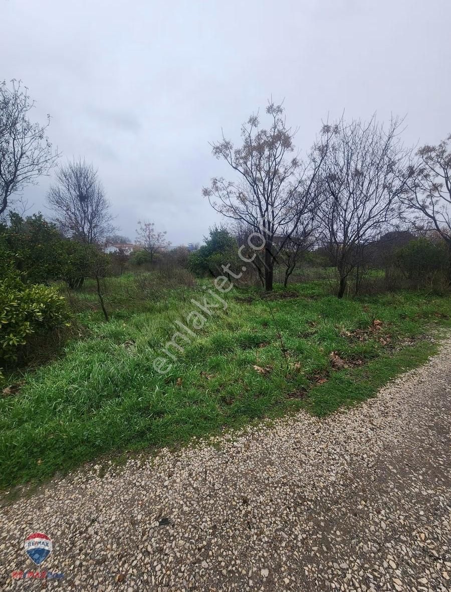 8 Güzelbahçe Yelki'de Satılık Tarla - Görsel 3