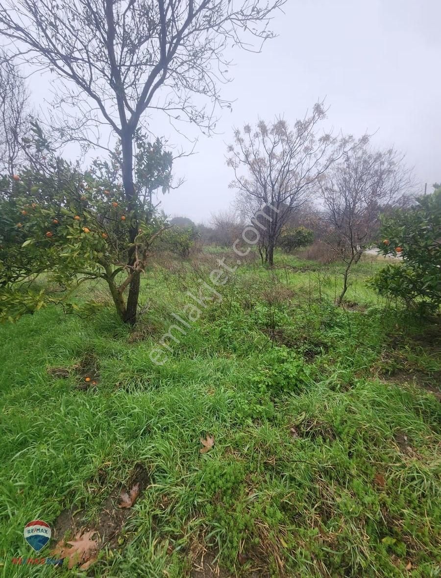 8 Güzelbahçe Yelki'de Satılık Tarla