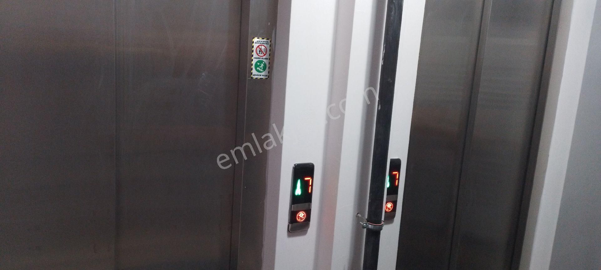 Trabzon Pelıtli De Sıfır Kiralık 3+1 Daire - Görsel 5