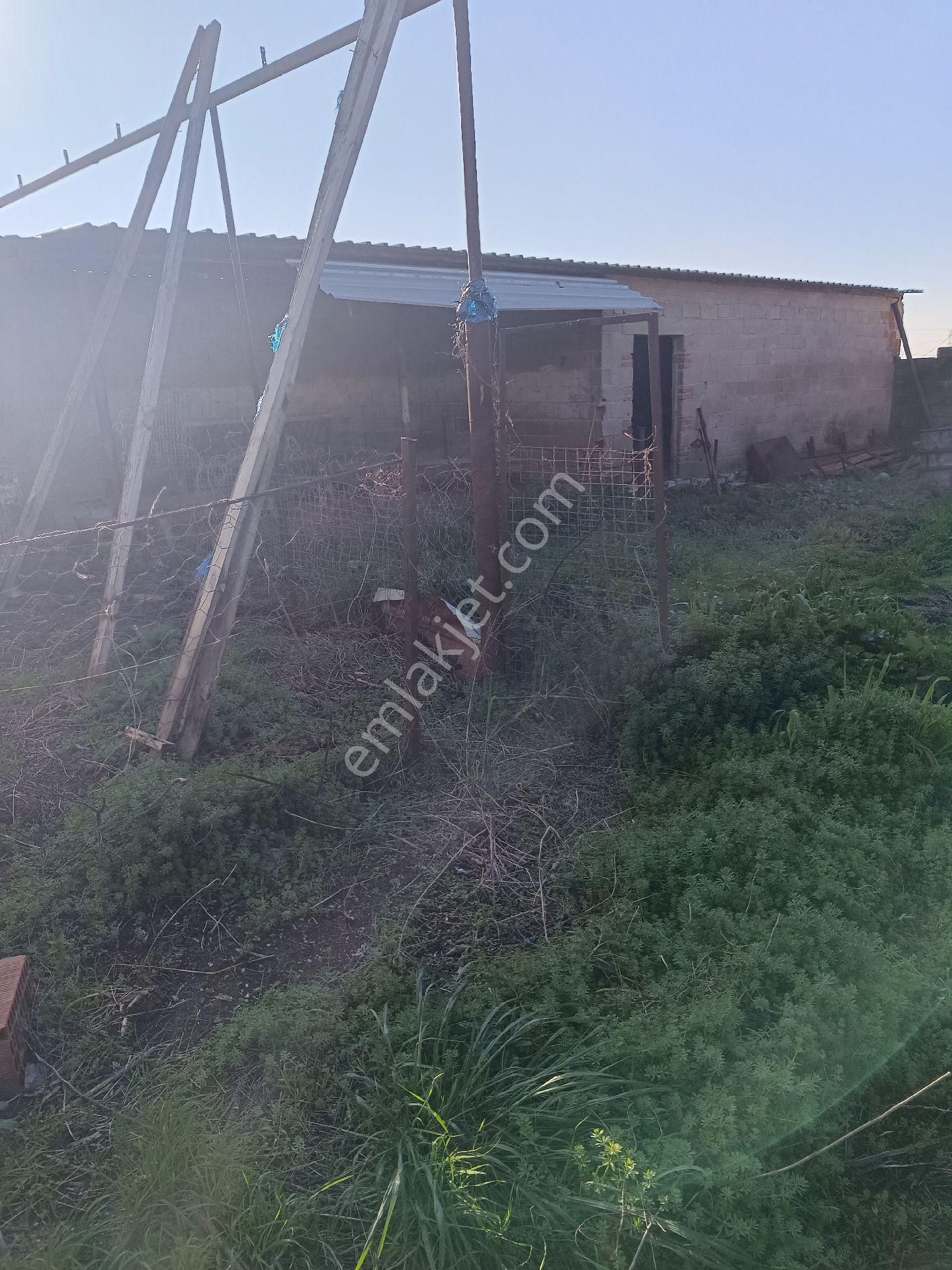 Satılık Köy Evi - Görsel 3