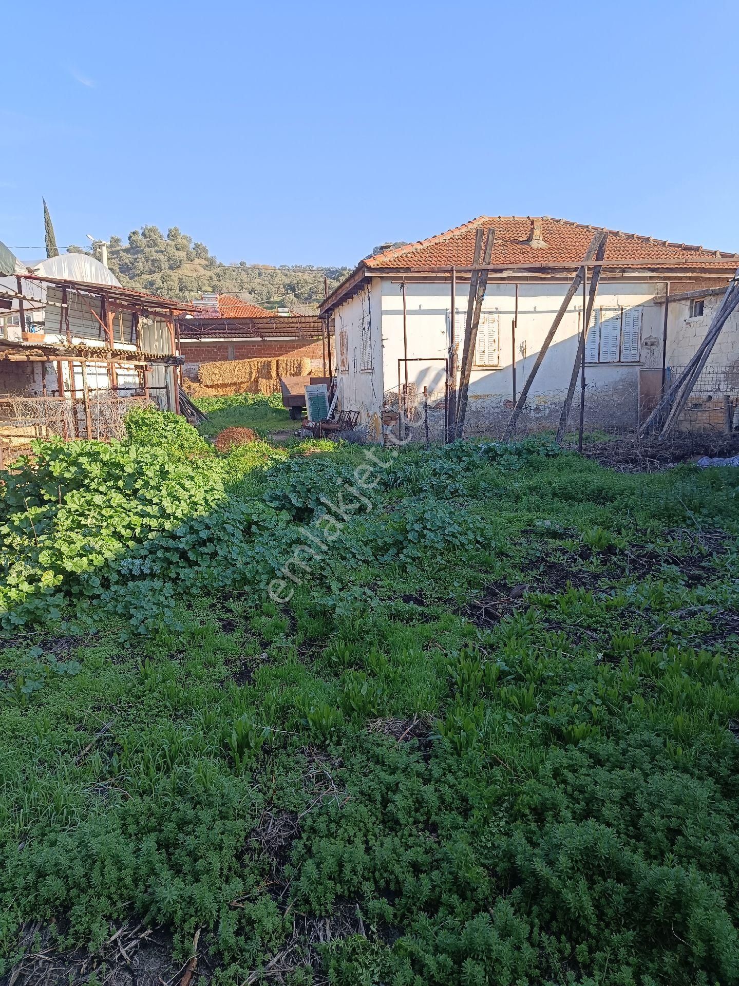 Satılık Köy Evi - Görsel 6