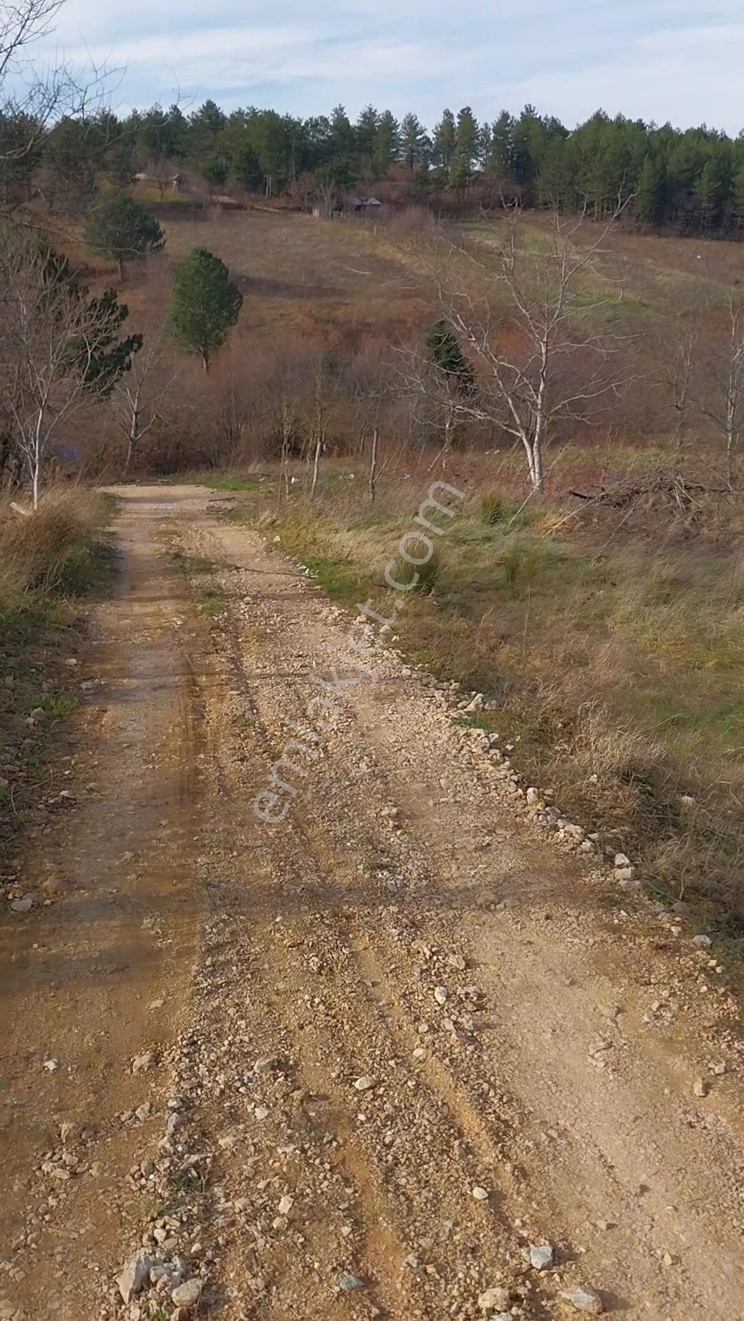 Kestel Orhaniye'de Müstakil Tapulu Satılık Tarla... - Görsel 3